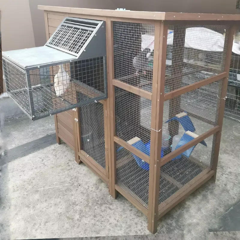 Klatka dla ptaków Domowa Połąc – Sustainable Living House recenzja i cena